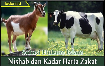 Nishab dan Kadar Harta Zakat
